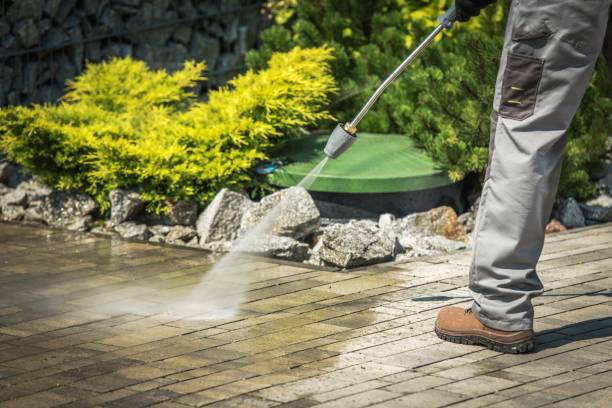 Best Animal Enclosure Cleaning  in Lago Vista, TX