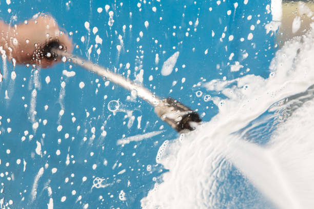 Animal Enclosure Cleaning in Lago Vista, TX